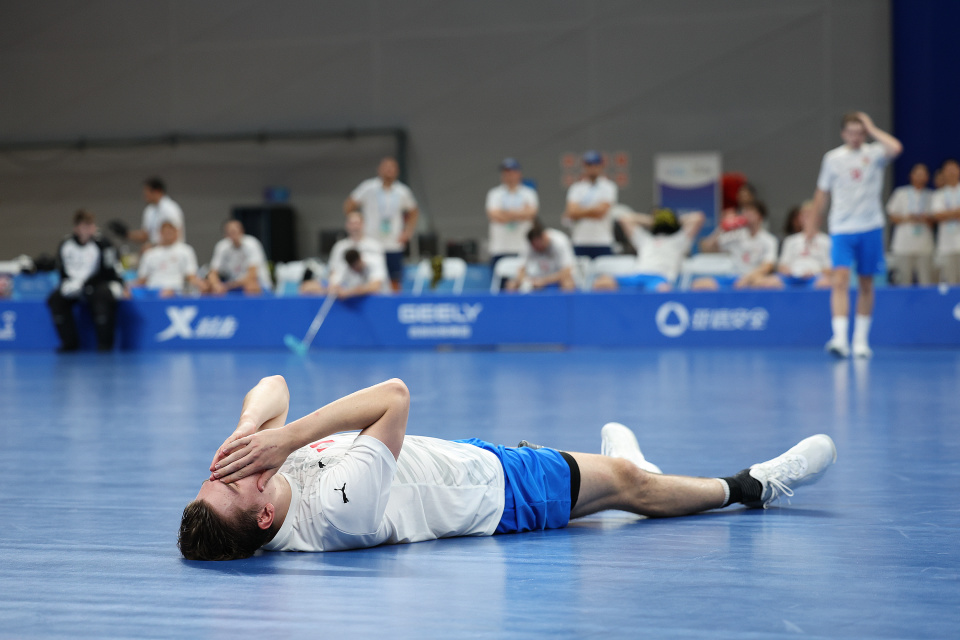 捷克队球员 捷克队球员