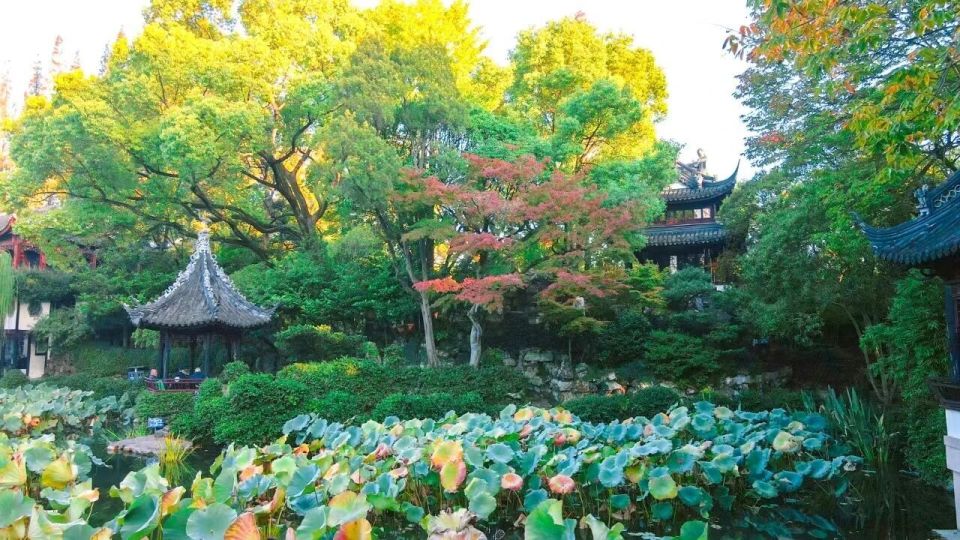 OL, 运动需求, 校友 OL, 运动需求, 校友