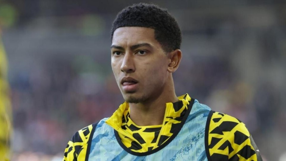 育总监凯尔 育总监凯尔